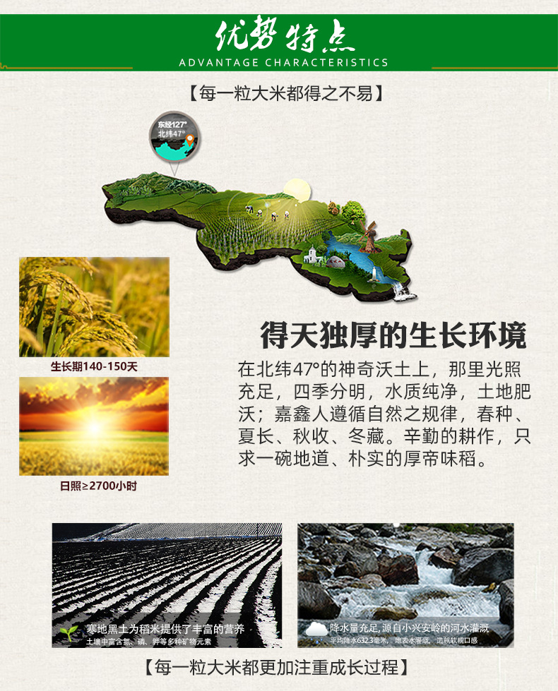 东北小町珍珠米 10斤 寒地稻香