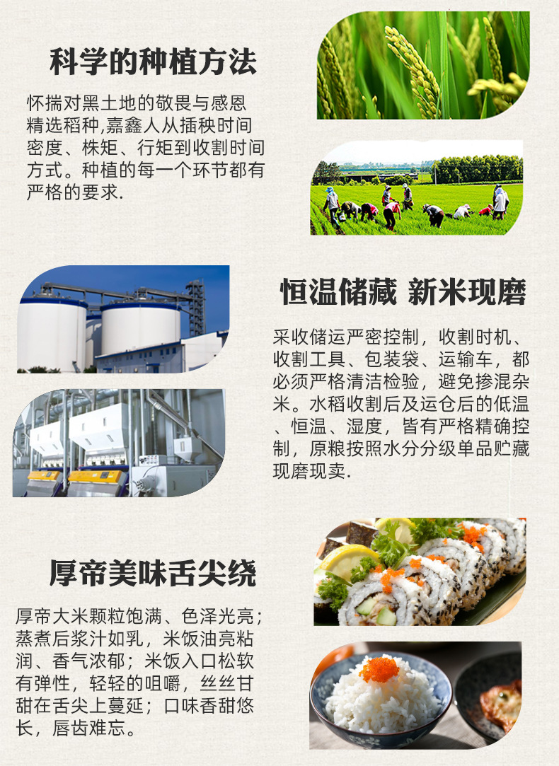 东北小町珍珠米 10斤 寒地稻香