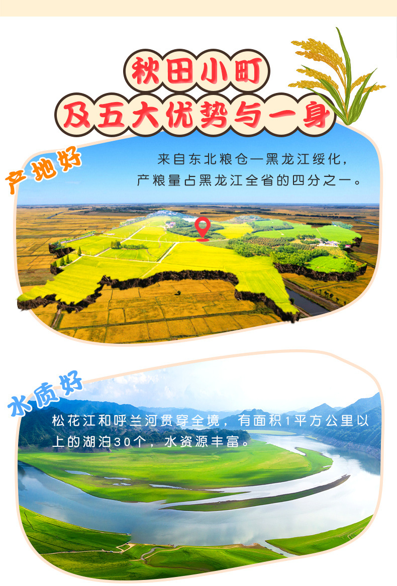 东北小町珍珠米 10斤 寒地稻香