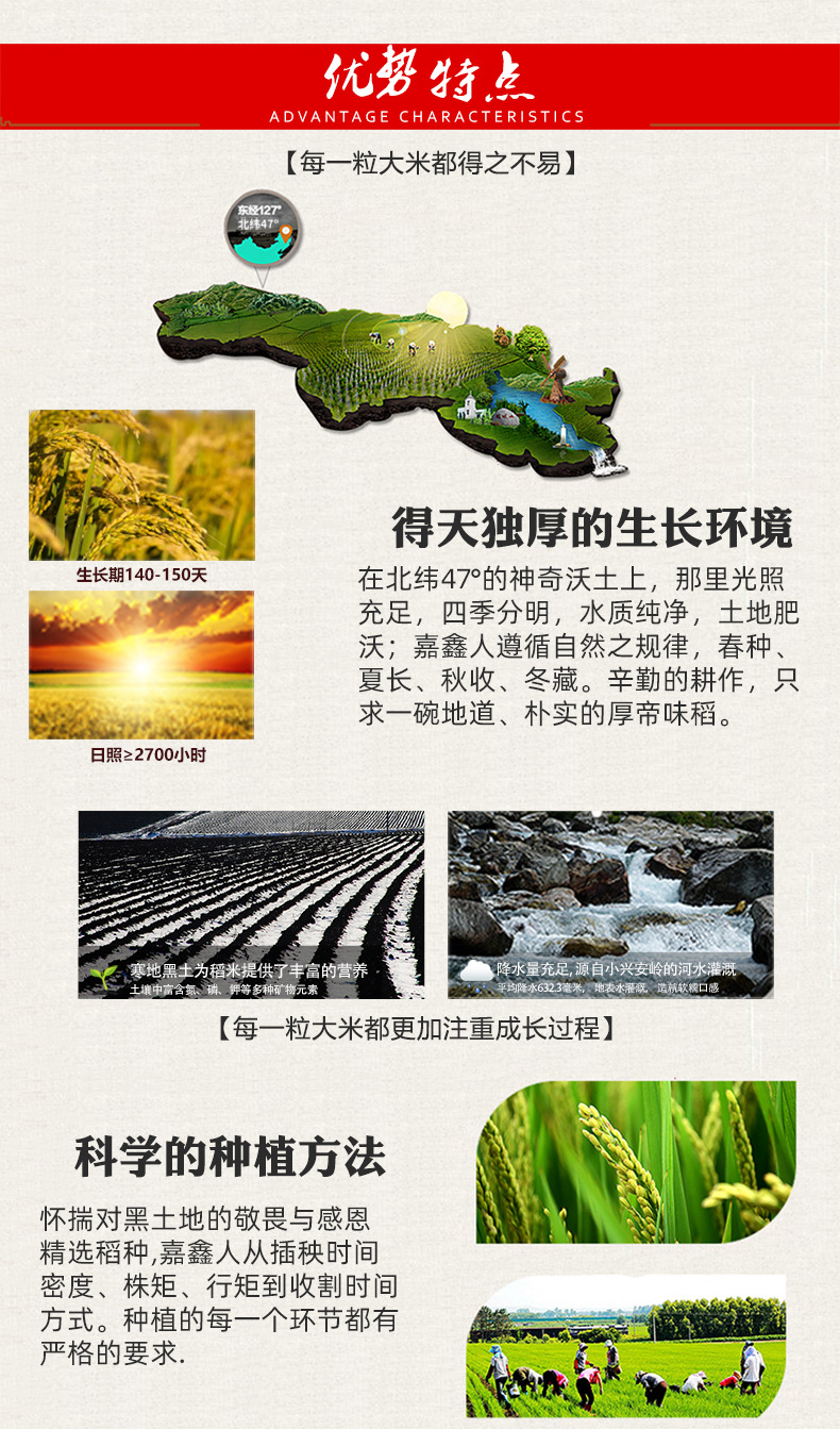 东北小町珍珠米 10斤 寒地稻香