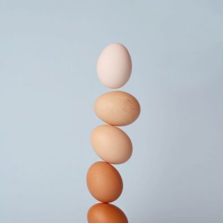 每日坚果礼盒